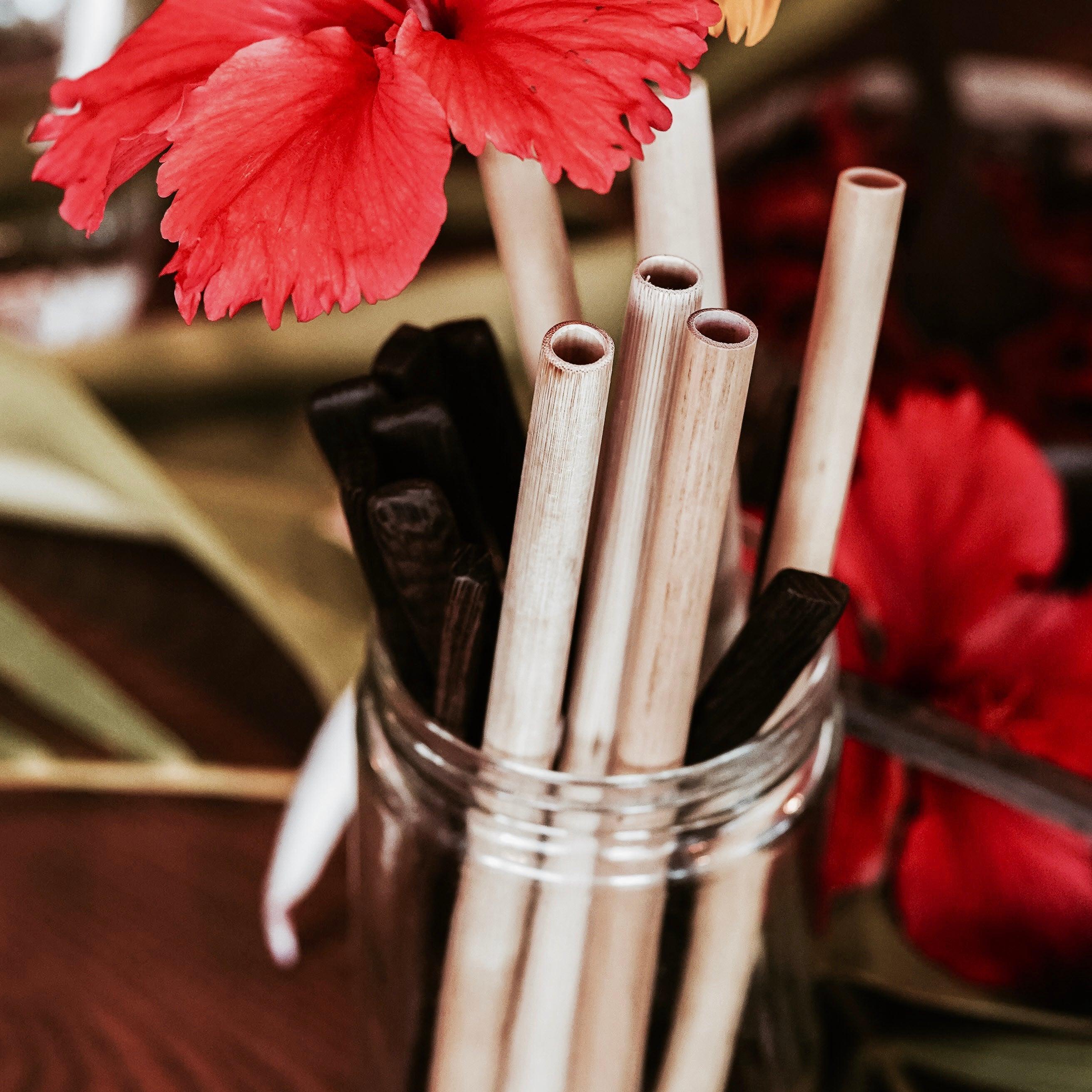 Organic Bamboo Straw (6) Set + Natural Fiber Brush (1) - Coco Bowls | Organic Coconut Bowls | Bamboo Straws | Zero Waste Goods