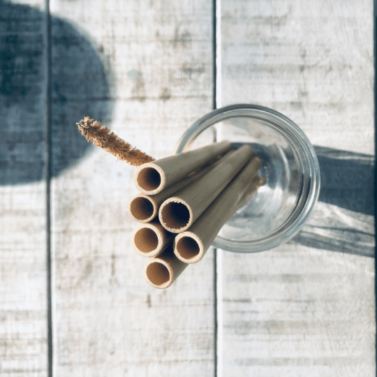 Organic Bamboo Straw (6) Set + Natural Fiber Brush (1) - Coco Bowls | Organic Coconut Bowls | Bamboo Straws | Zero Waste Goods