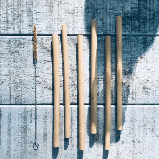 Organic Bamboo Straw (6) Set + Natural Fiber Brush (1) - Coco Bowls | Organic Coconut Bowls | Bamboo Straws | Zero Waste Goods